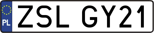 ZSLGY21