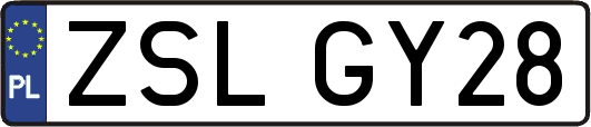 ZSLGY28