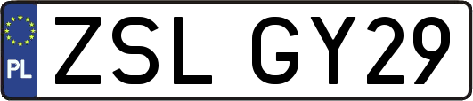 ZSLGY29