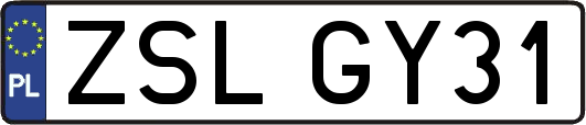 ZSLGY31