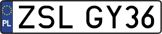 ZSLGY36