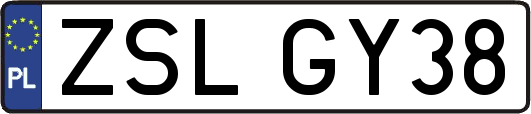 ZSLGY38