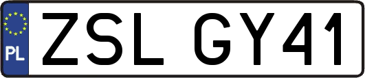 ZSLGY41