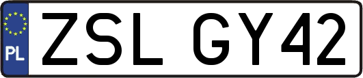 ZSLGY42