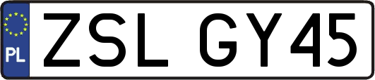 ZSLGY45