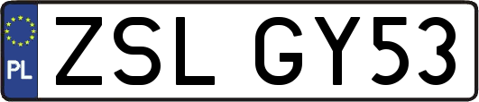 ZSLGY53