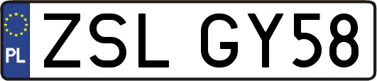 ZSLGY58