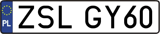ZSLGY60