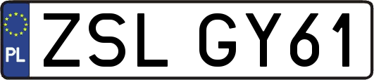ZSLGY61