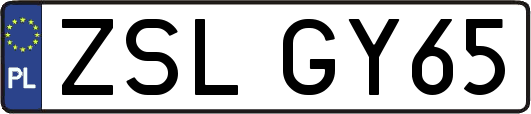 ZSLGY65