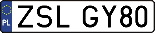 ZSLGY80
