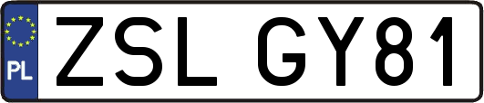 ZSLGY81