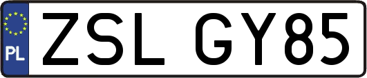 ZSLGY85