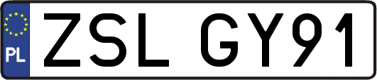 ZSLGY91