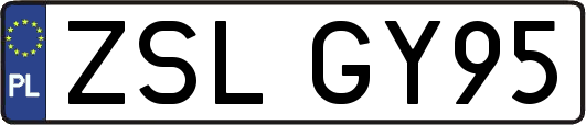 ZSLGY95