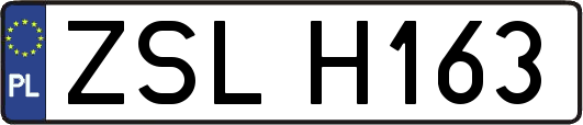 ZSLH163