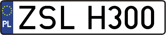 ZSLH300