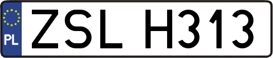 ZSLH313