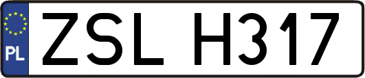 ZSLH317