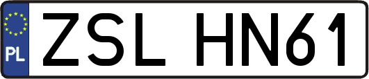 ZSLHN61