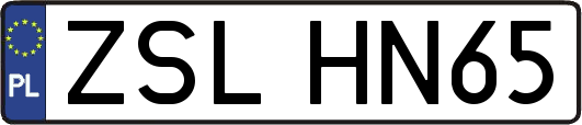 ZSLHN65