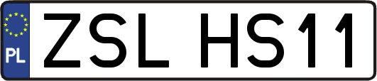 ZSLHS11