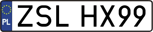 ZSLHX99