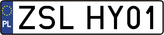 ZSLHY01