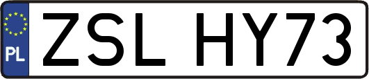 ZSLHY73