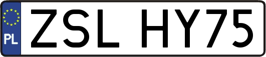 ZSLHY75
