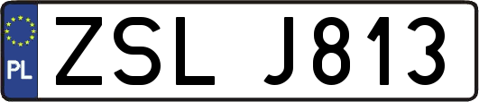 ZSLJ813