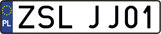 ZSLJJ01