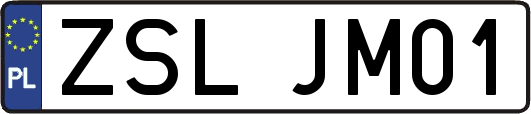 ZSLJM01