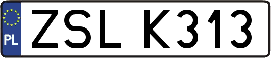 ZSLK313