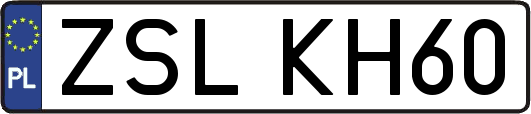 ZSLKH60