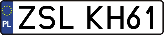 ZSLKH61