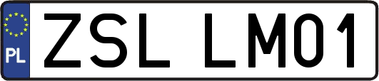 ZSLLM01