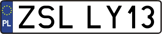 ZSLLY13