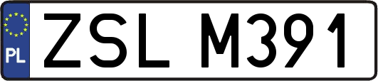 ZSLM391