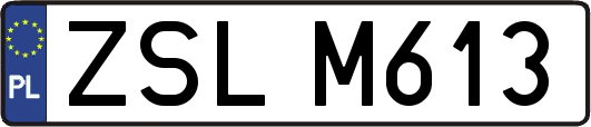 ZSLM613