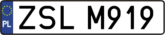 ZSLM919