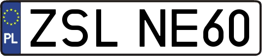 ZSLNE60