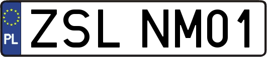ZSLNM01