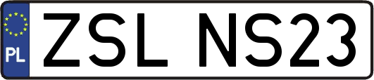 ZSLNS23