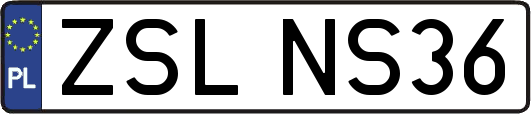 ZSLNS36