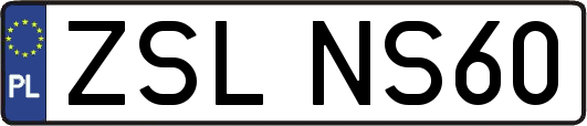 ZSLNS60