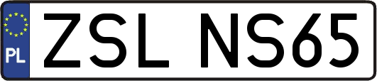 ZSLNS65