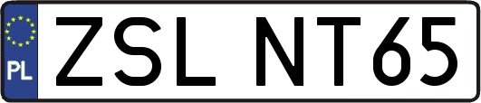 ZSLNT65