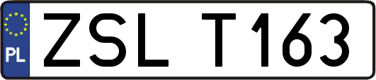 ZSLT163