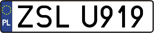 ZSLU919